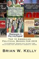 Top 10 American Political Books for 2018: "Cliffsnotes" Books Full of Big Time Solutions for Important Domestic Issues di Brian W. Kelly edito da Lets Go Publish!