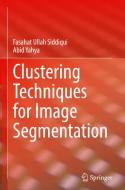 Clustering Techniques for Image Segmentation di Abid Yahya, Fasahat Ullah Siddiqui edito da Springer International Publishing
