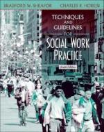 Techniques And Guidelines For Social Work Practice di Bradford W. Sheafor, Charles R. Horejsi edito da Pearson Education (us)