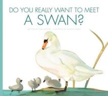 Do You Really Want to Meet a Swan? di Cari Meister edito da Black Rabbit Books
