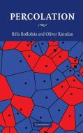 Percolation di Bela Bollobas, Oliver Riordan edito da Cambridge University Press