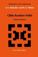Gibbs Random Fields di V. A. Malyshev, Robert A. Minlos edito da Springer Netherlands
