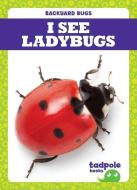 I See Ladybugs di Genevieve Nilsen edito da TADPOLE BOOKS
