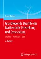Grundlegende Begriffe der Mathematik: Entstehung und Entwicklung di Horst Hischer edito da Springer-Verlag GmbH