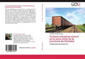 Turismo industrial minero en la zona norte de la provincia de Córdoba di Ana María Castillo Canalejo edito da EAE