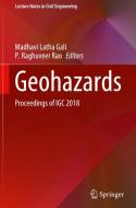 Geohazards: Proceedings of Igc 2018 edito da SPRINGER NATURE