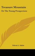 Treasure Mountain: Or the Young Prospectors di Edwin L. Sabin edito da Kessinger Publishing