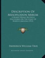 Description of Mesoplodon Mirum: A Beaked Whale Recently Discovered on the Coast of North Carolina (1913) di Frederick William True edito da Kessinger Publishing