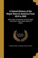 SCHOOL HIST OF THE NEGRO RACE edito da WENTWORTH PR