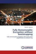 Fully Homomorphic Encryption without bootstrapping di Masahiro Yagisawa edito da LAP Lambert Academic Publishing