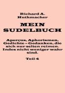 Mein Sudelbuch, Teil 4 di Richard A. Huthmacher edito da Books on Demand