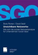 Unsichtbare Netzwerke di Boris Ricken, David Seidl edito da Gabler Verlag
