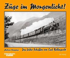 Züge im Morgenlicht di Andreas Knipping edito da Ek-Verlag GmbH