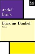 Blick ins Dunkel di André Brink edito da Kiepenheuer & Witsch GmbH