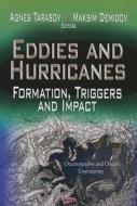 Eddies & Hurricanes edito da Nova Science Publishers Inc