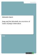 Jung and his labyrinth. An overview of some of Jung's main ideas di Aleksandra Vujovic edito da GRIN Verlag