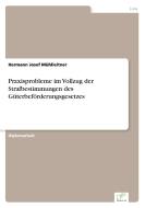 Praxisprobleme im Vollzug der Strafbestimmungen des Güterbeförderungsgesetzes di Hermann Josef Mühlleitner edito da Diplom.de