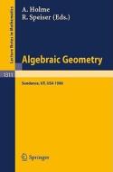 Algebraic Geometry. Sundance 1986 edito da Springer Berlin Heidelberg