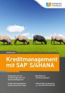 Kreditmanagement mit SAP S/4HANA di Breest Silke edito da Espresso Tutorials GmbH