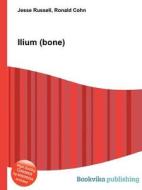 Ilium (bone) edito da Book On Demand Ltd.