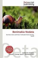 Benimakia Nodata edito da Betascript Publishing