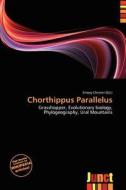 Chorthippus Parallelus edito da Junct