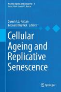 Cellular Ageing and Replicative Senescence edito da Springer-Verlag GmbH