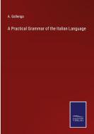 A Practical Grammar of the Italian Language di A. Gallenga edito da Salzwasser-Verlag