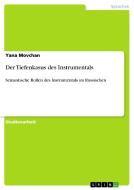 Der Tiefenkasus des Instrumentals di Yana Movchan edito da GRIN Verlag