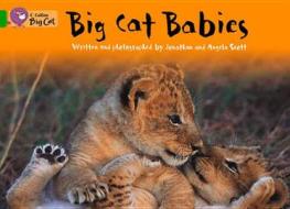 Big Cat Babies di Jonathan Scott, Angela Scott edito da HARPERCOLLINS UK