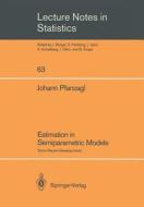 Estimation in Semiparametric Models di Johann Pfanzagl edito da Springer New York