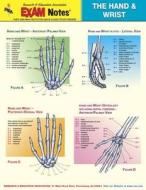 Hand & Wrist Anatomy Exam Notes di Research & Education Association, Exam Notes, The Staff of Rea Delete edito da Research & Education Association