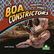 Boa Constrictors di Kelli Hicks edito da CRABTREE SEEDLINGS