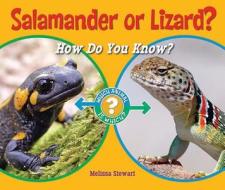 Salamander or Lizard?: How Do You Know? di Melissa Stewart edito da Enslow Elementary