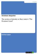The Notion Of Identity In Mary Antin's The Promised Land di Christiane Abspacher edito da Grin Publishing