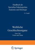 Weibliche Geschlechtsorgane di O. Frankl, K. Kaufmann, R. Meyer edito da Springer Vienna