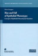 Rise and Fall of Epithelial Phenotype: Concepts of Epithelial-Mesenchymal Transition di Pierre Savagner edito da SPRINGER NATURE