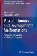 Vascular Tumors and Developmental Malformations edito da Springer-Verlag New York Inc.