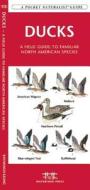 Ducks: A Field Guide to Familiar North American Species di James Kavanagh edito da Waterford Press