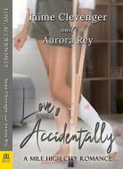 Love Accidentally di Jaime Clevenger, Aurora Rey edito da BELLA BOOKS