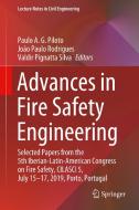 Advances in Fire Safety Engineering edito da Springer International Publishing
