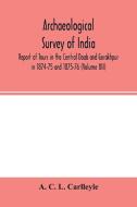Archaeological survey of india, Report of Tours in the Central Doab and Gorakhpur in 1874-75 and 1875-76 (Volume XII) di A. C. L. Carlleyle edito da Alpha Editions