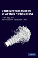 Direct Numerical Simulations of Gas-Liquid Multiphase             Flows di Grétar Tryggvason, Ruben Scardovelli, Stéphane Zaleski edito da Cambridge University Press