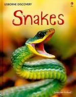 Snakes di Rachel Firth, Jonathan Shelkh-Miller edito da Usborne Books