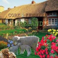 Cork & Kenmare, Ireland di Richard Matevosyan, Naira R. Matevosyan edito da Createspace