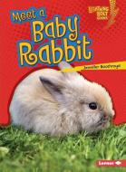 Meet a Baby Rabbit di Jennifer Boothroyd edito da LERNER CLASSROOM