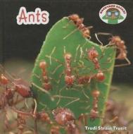 Ants di Trudi Strain Trueit edito da Cavendish Square Publishing