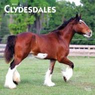 Clydesdales 2020 Square Wall Calendar di Inc Browntrout Publishers edito da Brown Trout