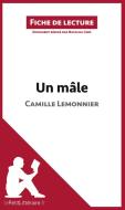 Ebook Un mâle de Camille Lemonnier (Fiche de lecture) di lePetitLitteraire, Natacha Cerf edito da lePetitLitteraire.fr