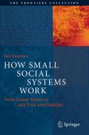How Small Social Systems Work di Yair Neuman edito da Springer International Publishing
